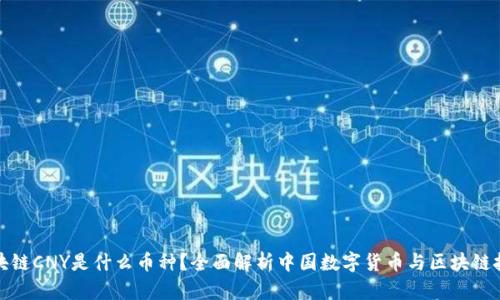 ### 区块链CNY是什么币种？全面解析中国数字货币与区块链技术的结合